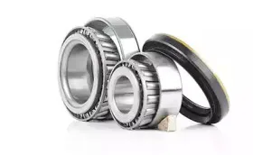 BSG 60-600-005 BSG Комплект подшипника ступицы колеса BSG 60-600-005 BSG Комплект подшипника ступицы колеса